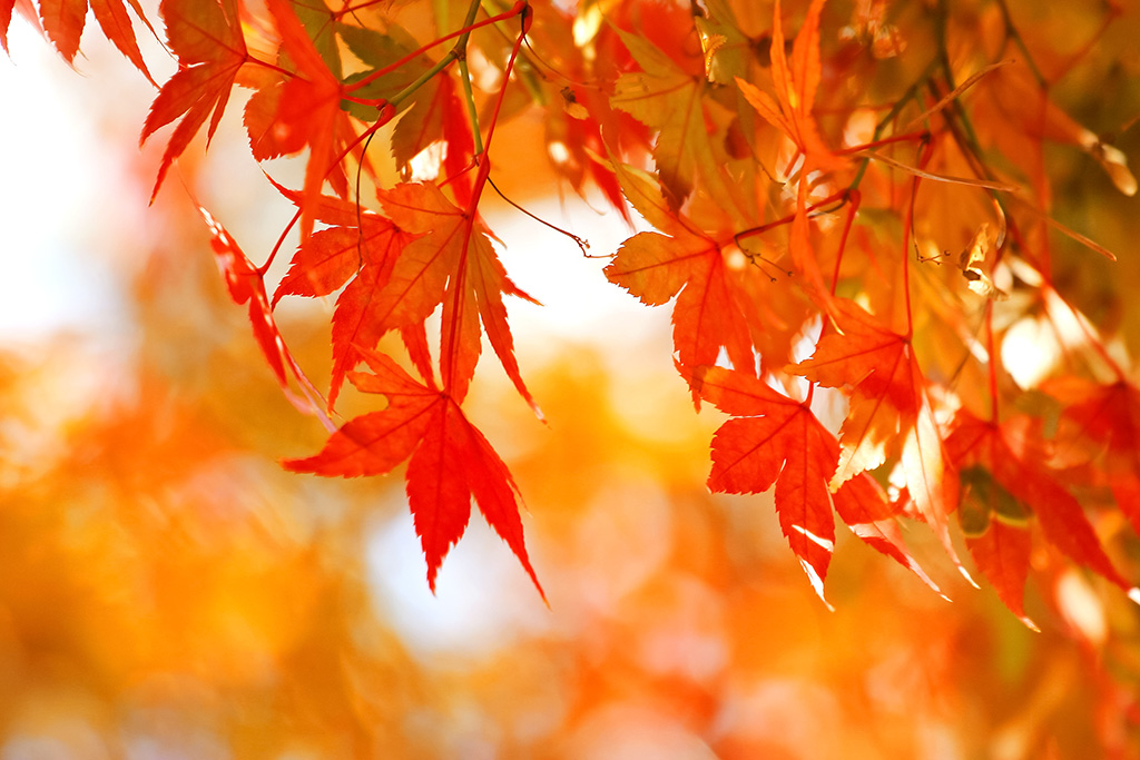 深まる冬、未来への一歩を感じて