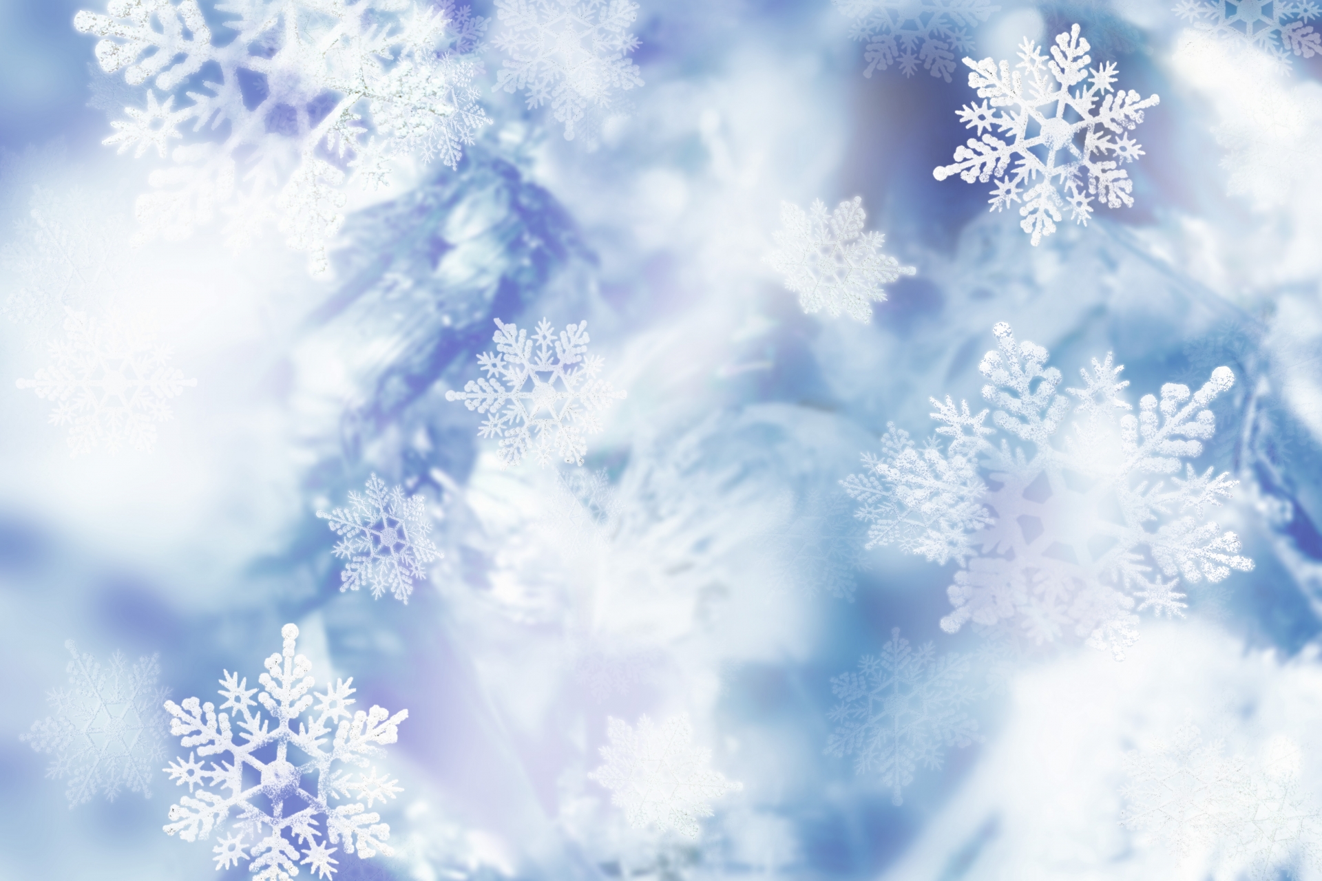 感謝と気づきに育まれた一年を振り返りながら