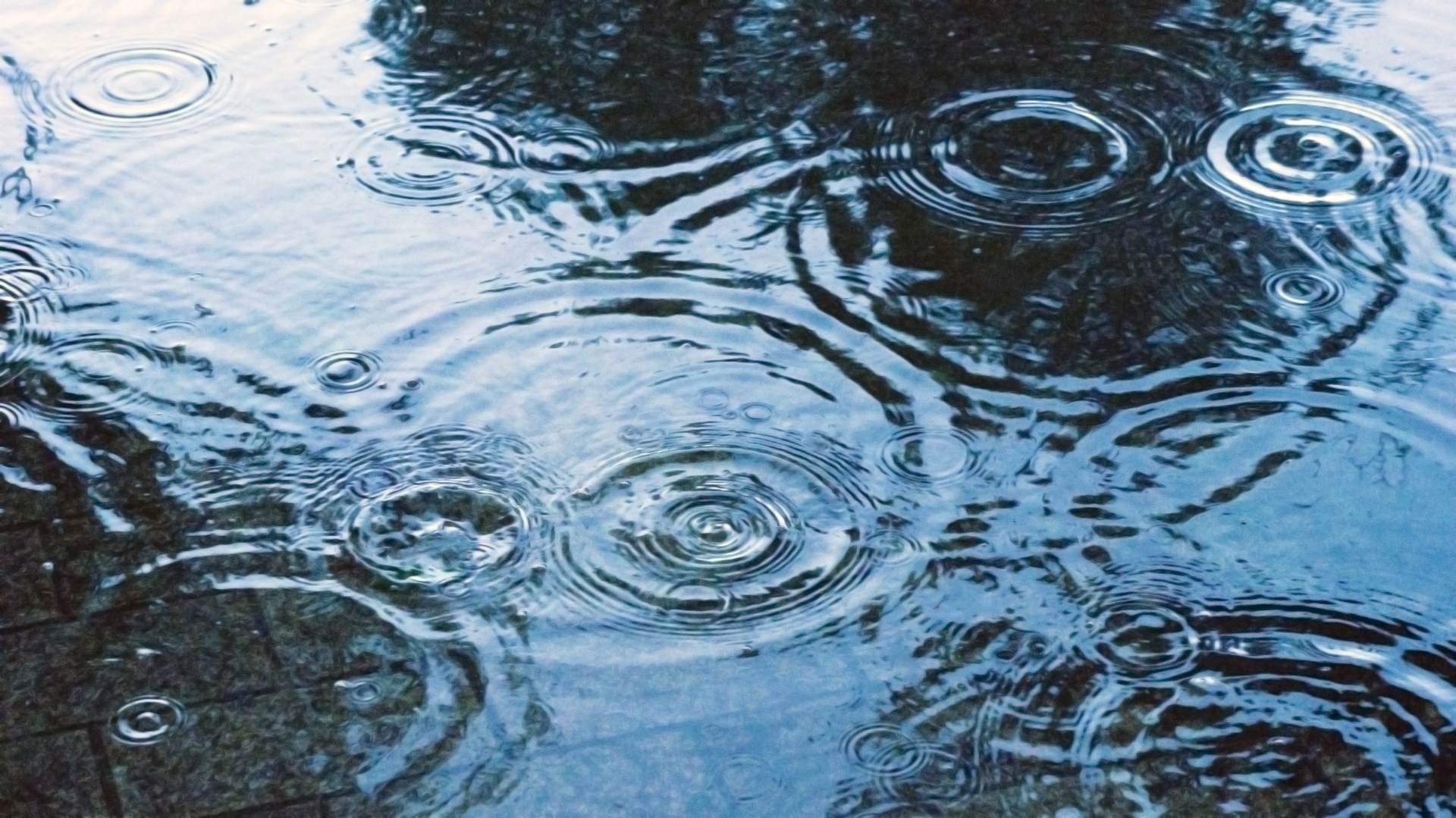 ー梅雨の風景に包まれながら心の声に耳を傾けるー